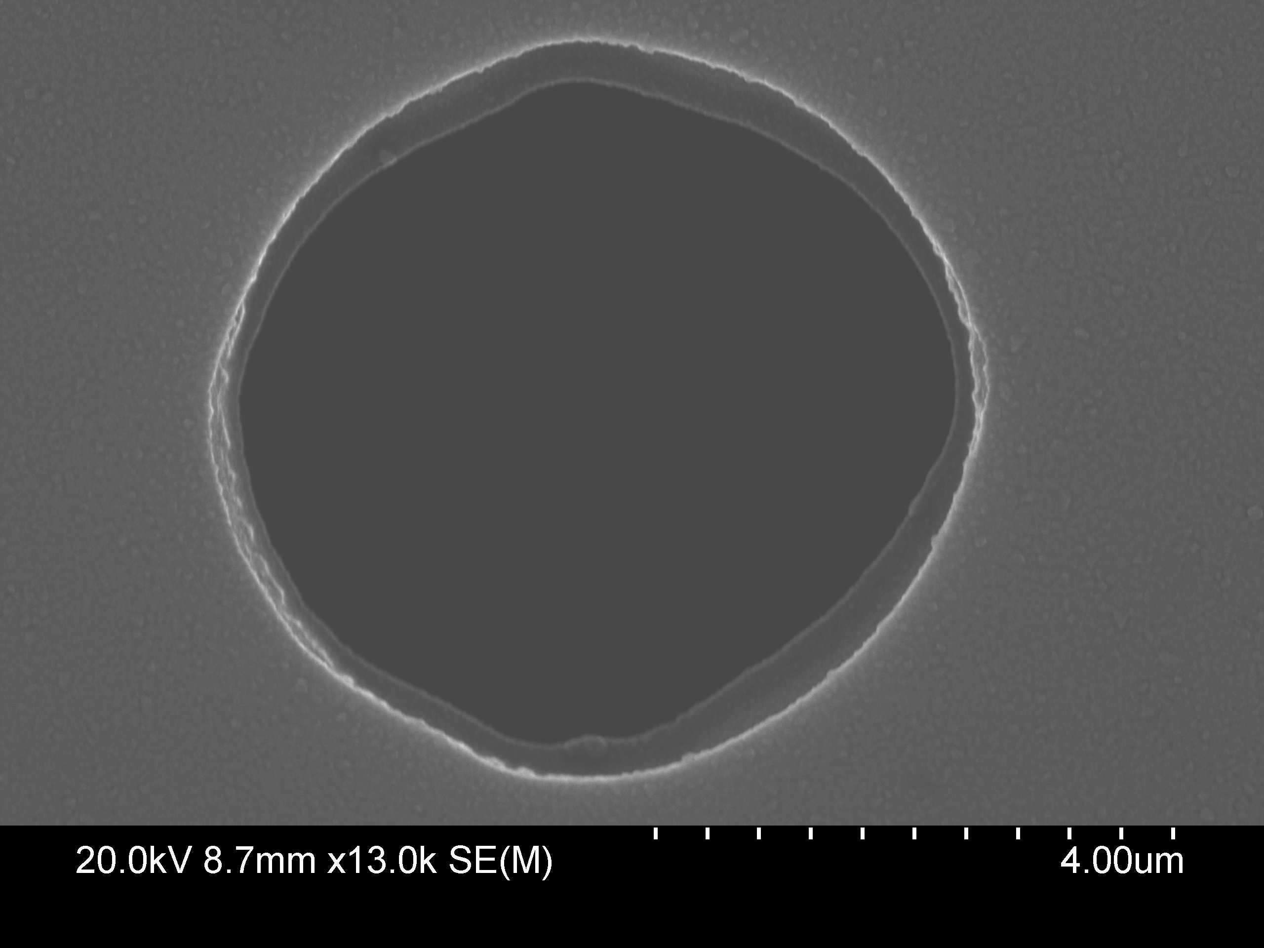 Scanning Electron Microscope View of Pinhole from Jenkins et al 2023